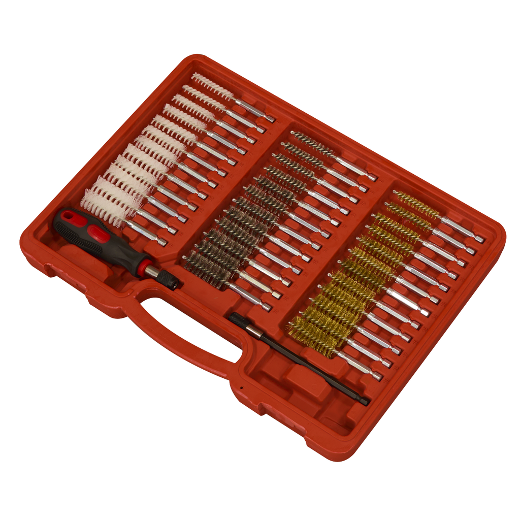 Injector Bore Cleaning Brush Set 38pc VS1910