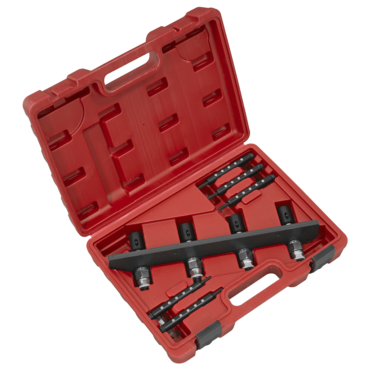 Petrol Fuel Injection Removal/Installation Kit for BMW & Mini VS2081