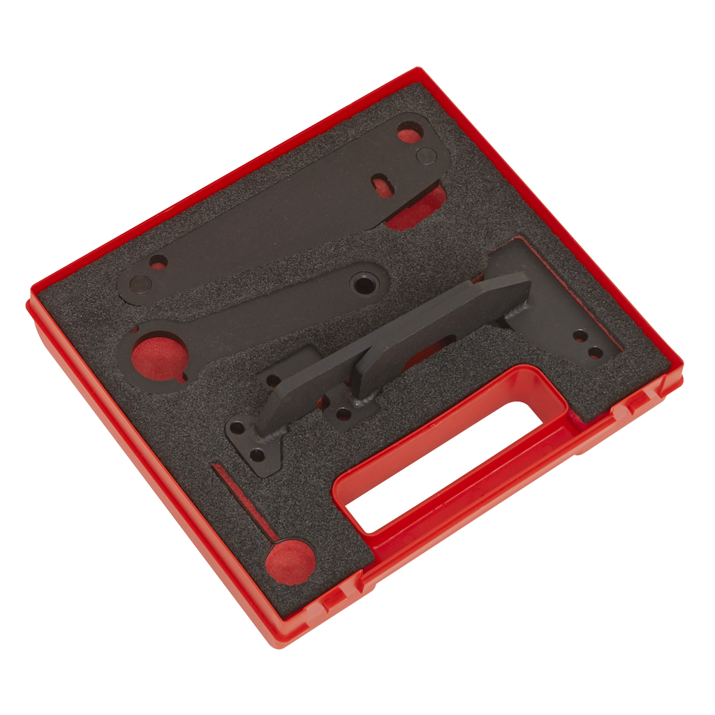 Petrol Engine Timing Tool for Dacia, Mercedes, Nissan, Renault 1.3 - Chain Drive VS5260