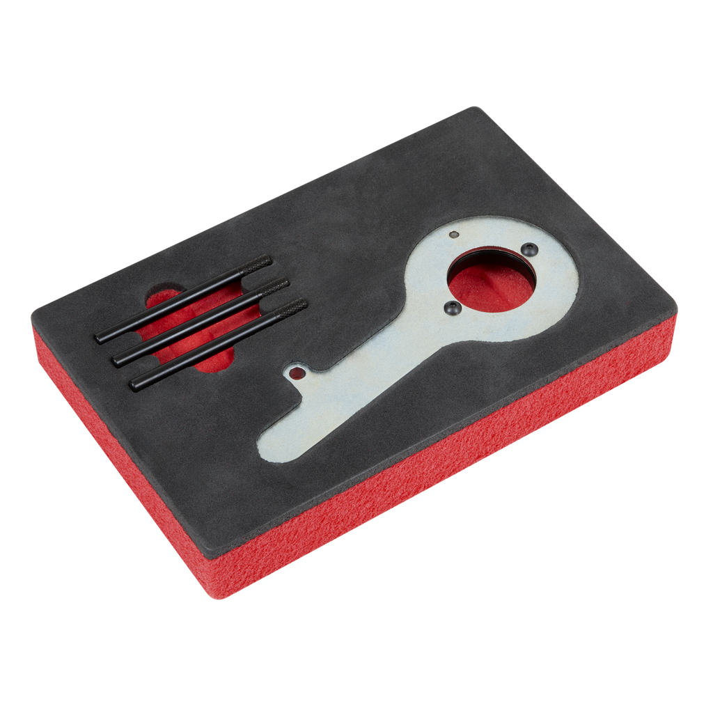 Diesel Engine Timing Tool Kit for Ford 2.0TDCi EcoBlue - Belt Drive VS5285