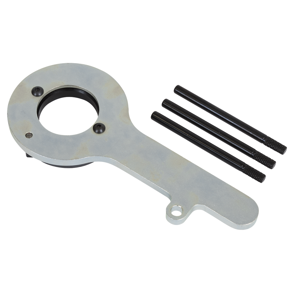 Diesel Engine Timing Tool Kit for Ford 2.0TDCi EcoBlue - Belt Drive VS5285