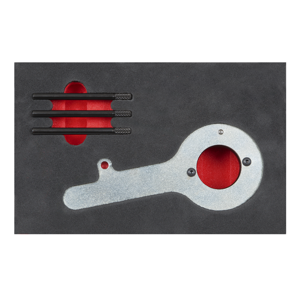 Diesel Engine Timing Tool Kit for Ford 2.0TDCi EcoBlue - Belt Drive VS5285