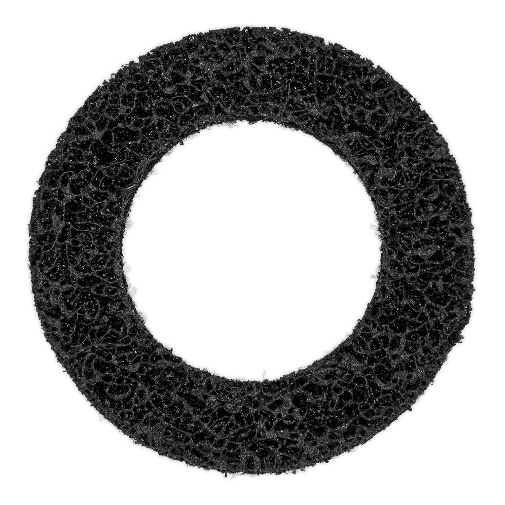 Cleaning Disc for VS8001 VS8001A