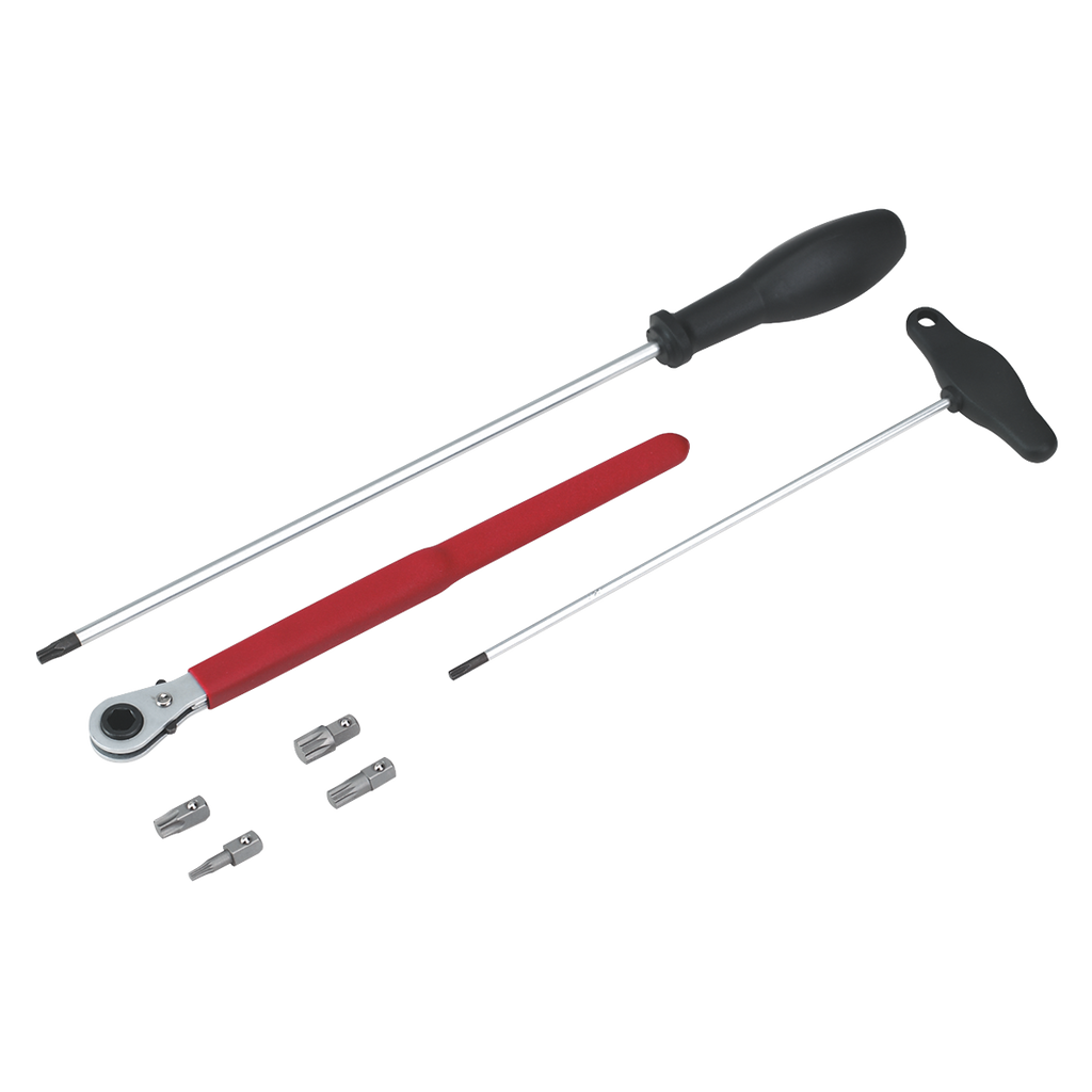 Door Hinge & Handle Removal Kit VS805