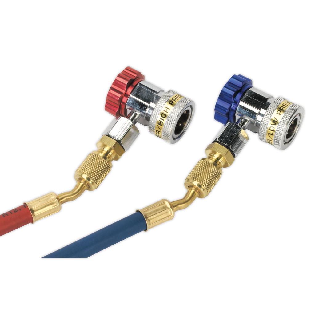 Air Conditioning System Manifold with Sight Glass VSAC002
