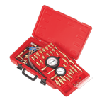 Fuel Injection Pressure Test Kit VSE210