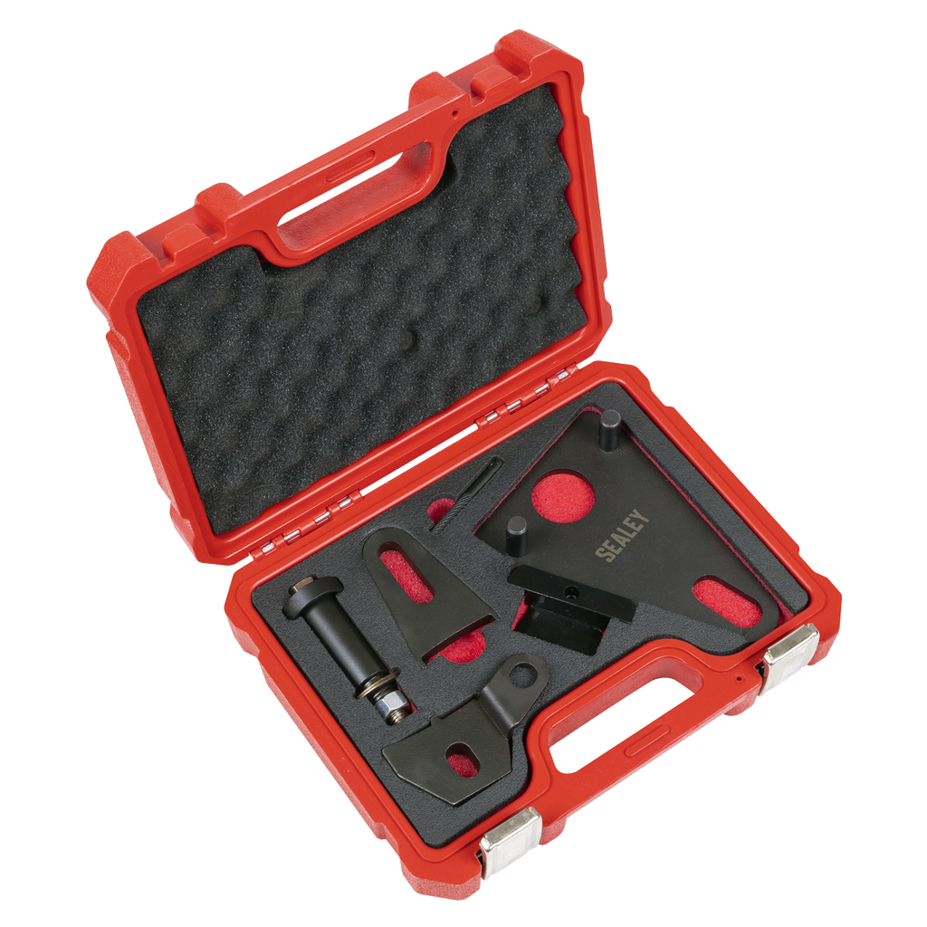 Front Pulley & Flywheel Locking Tool Set - Chain Drive VSE5032