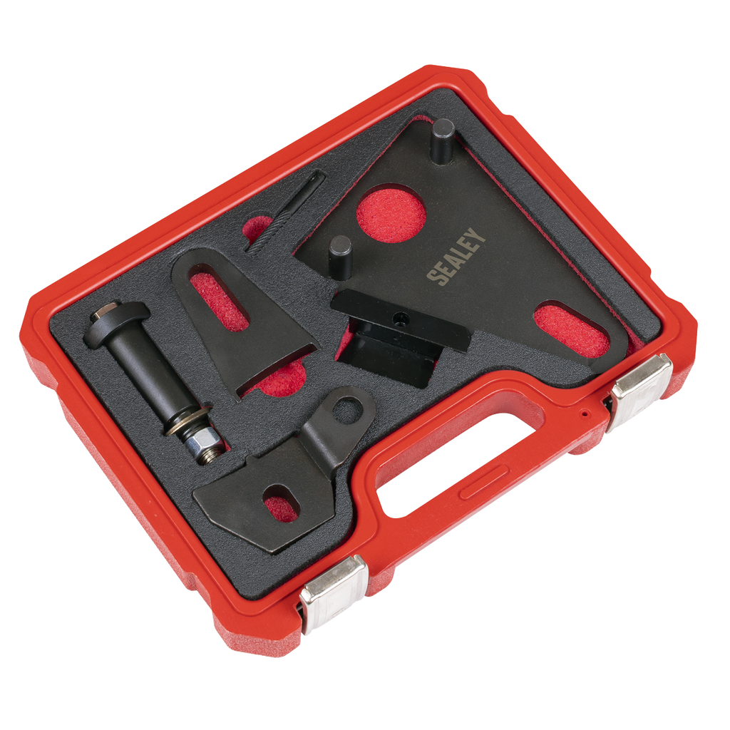 Front Pulley & Flywheel Locking Tool Set - Chain Drive VSE5032