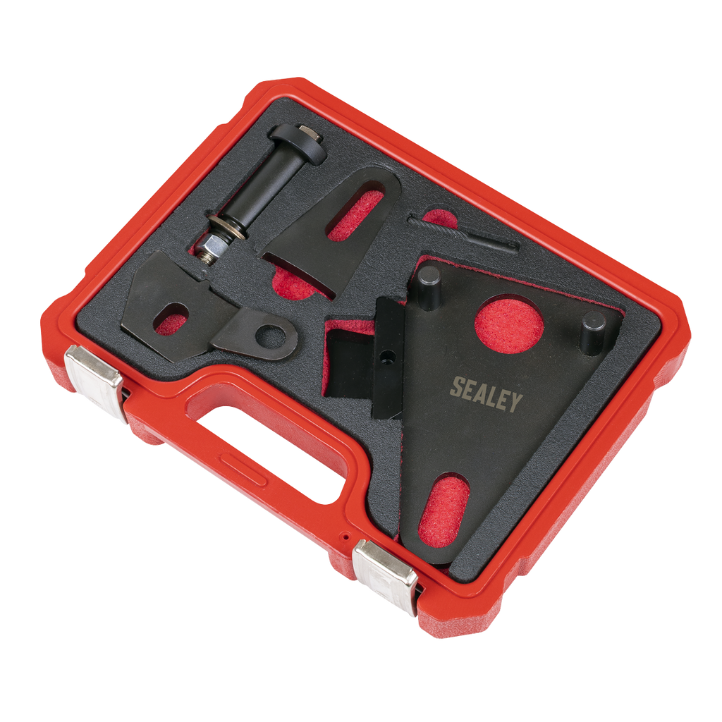 Front Pulley & Flywheel Locking Tool Set - Chain Drive VSE5032