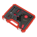 Front Pulley & Flywheel Locking Tool Set - Chain Drive VSE5032