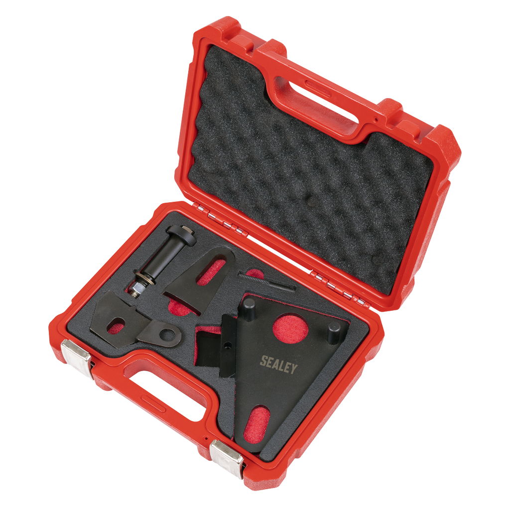 Front Pulley & Flywheel Locking Tool Set - Chain Drive VSE5032