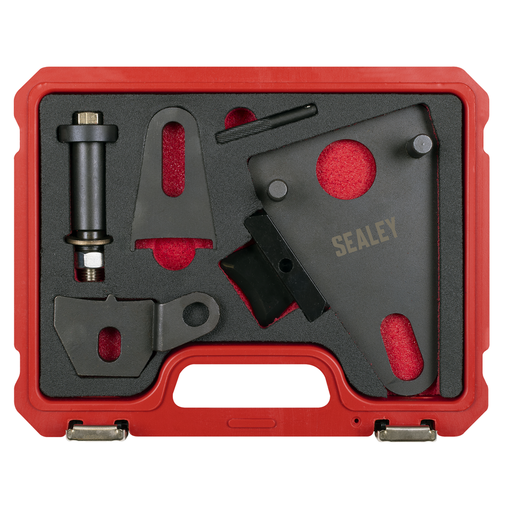 Front Pulley & Flywheel Locking Tool Set - Chain Drive VSE5032