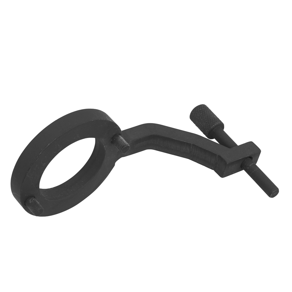 Fuel Pump Holding Tool for Jaguar, Land Rover 3.0D TDV6 - Belt Drive VSE5312