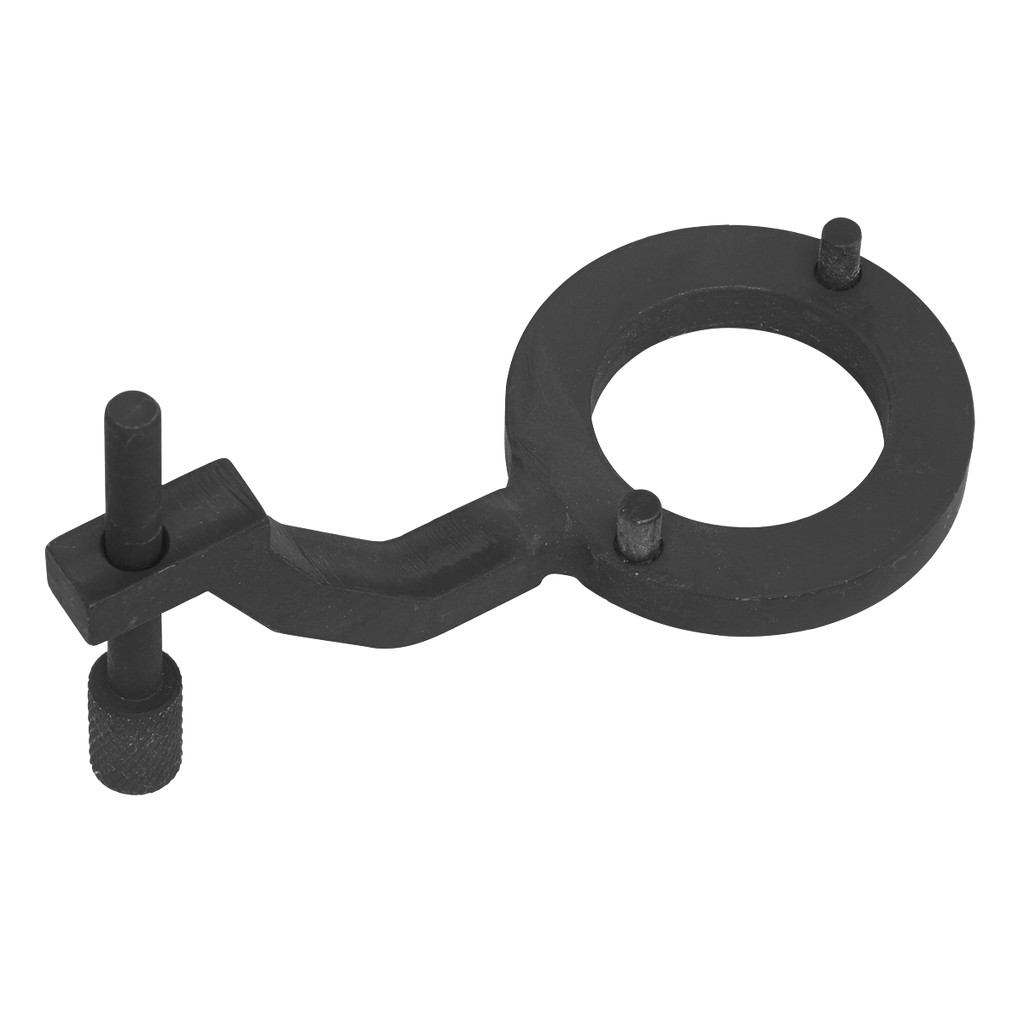 Fuel Pump Holding Tool for Jaguar, Land Rover 3.0D TDV6 - Belt Drive VSE5312