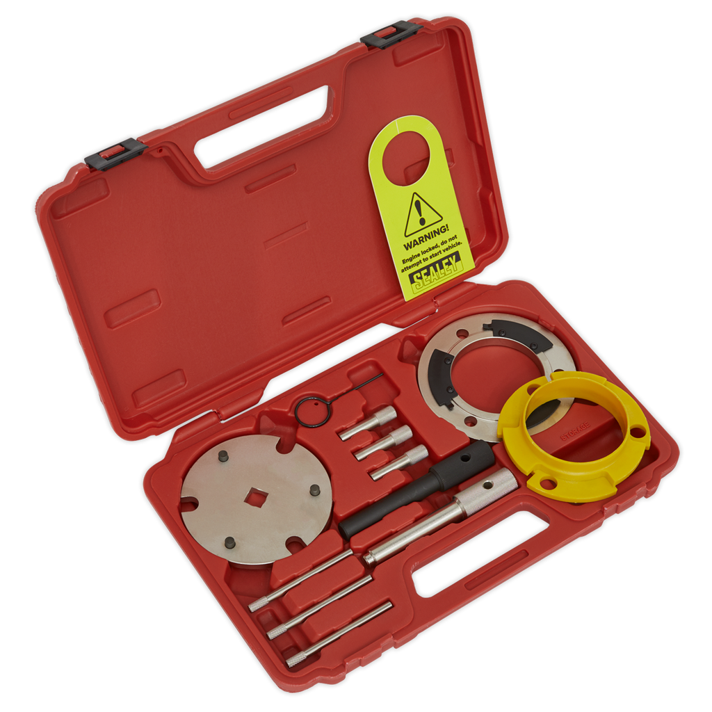 Diesel Timing Tool & Fuel Injection Pump Kit - 2.0D, 2.2D & 2.4D Duratorq - Chain Drive VSE5841A