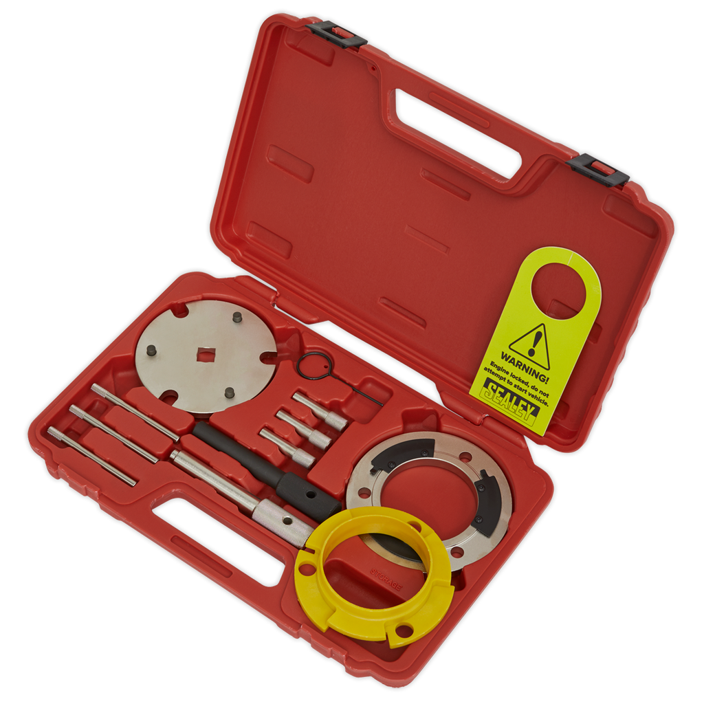Diesel Timing Tool & Fuel Injection Pump Kit - 2.0D, 2.2D & 2.4D Duratorq - Chain Drive VSE5841A