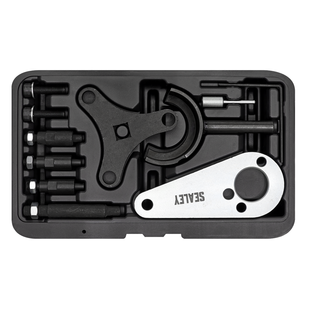 Timing Tool Set for Hyundai, Kia 1.6D - Belt Drive VSE5939