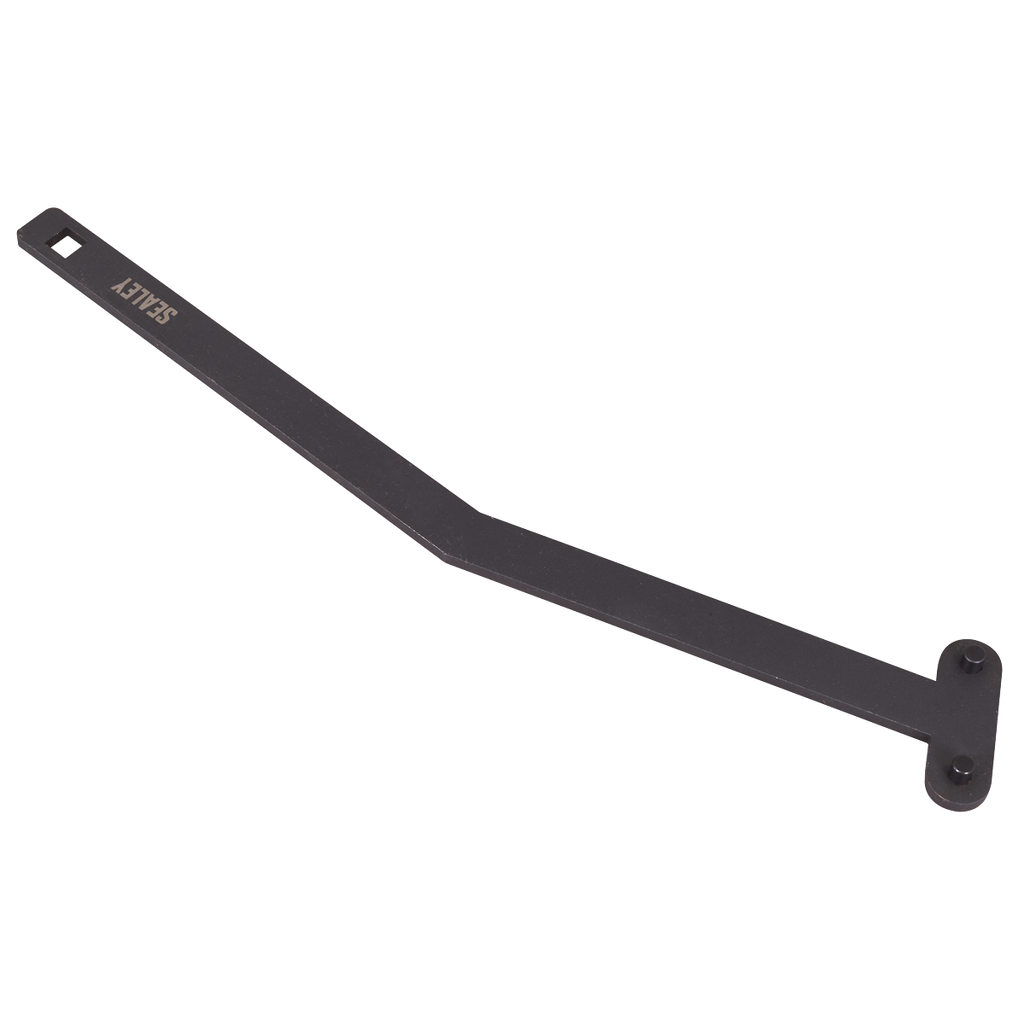 Diesel Engine Auxiliary Belt Tension Tool for Ford, Jaguar 2.0D/2.2D Di/TDdi/TDCi/2.4D TDdi - Chain Drive VSE5944