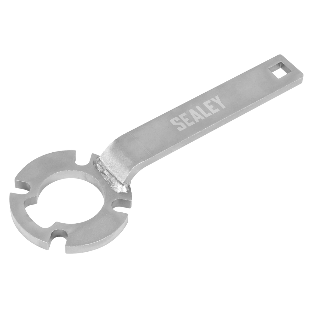 Diesel/Petrol Crankshaft Holding Tool for Ford, Volvo VSE6140