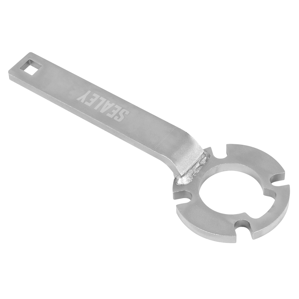 Diesel/Petrol Crankshaft Holding Tool for Ford, Volvo VSE6140