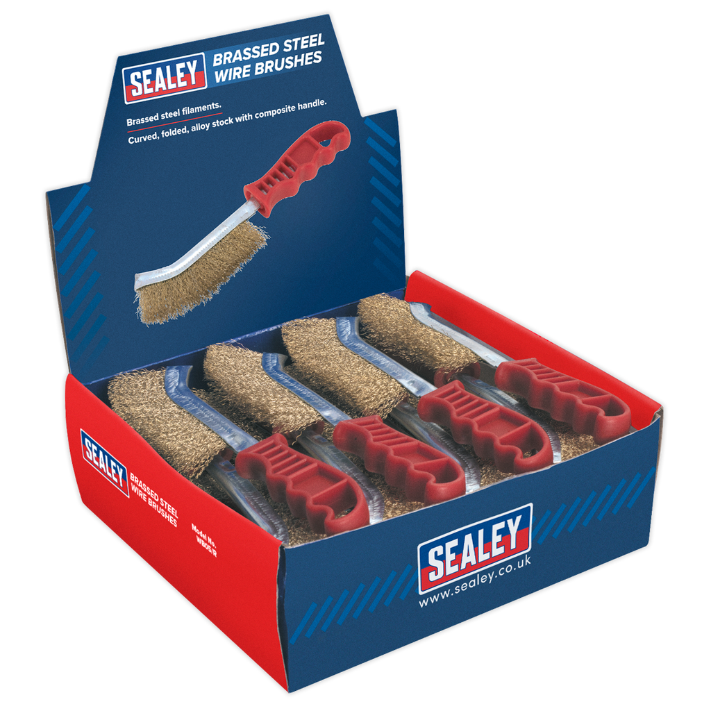 Brassed Steel Wire Brush with Plastic Handle - Display Box of 24 WB05DB24