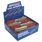 Brassed Steel Wire Brush with Plastic Handle - Display Box of 24 WB05DB24
