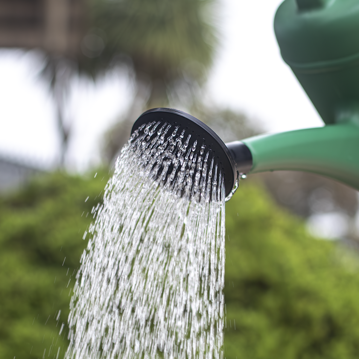 Plastic Watering Can 10L WCP10