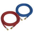 Oxyacetylene Welding Hose Set 10m WH10