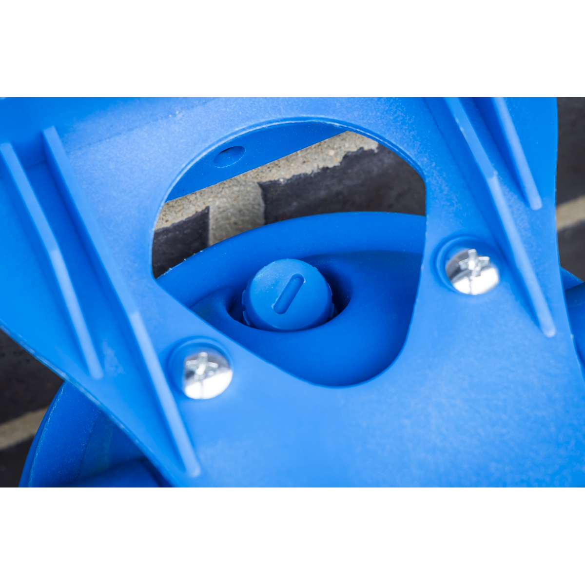 Inlet Filter for Surface Mounting Pumps 1L WPF1