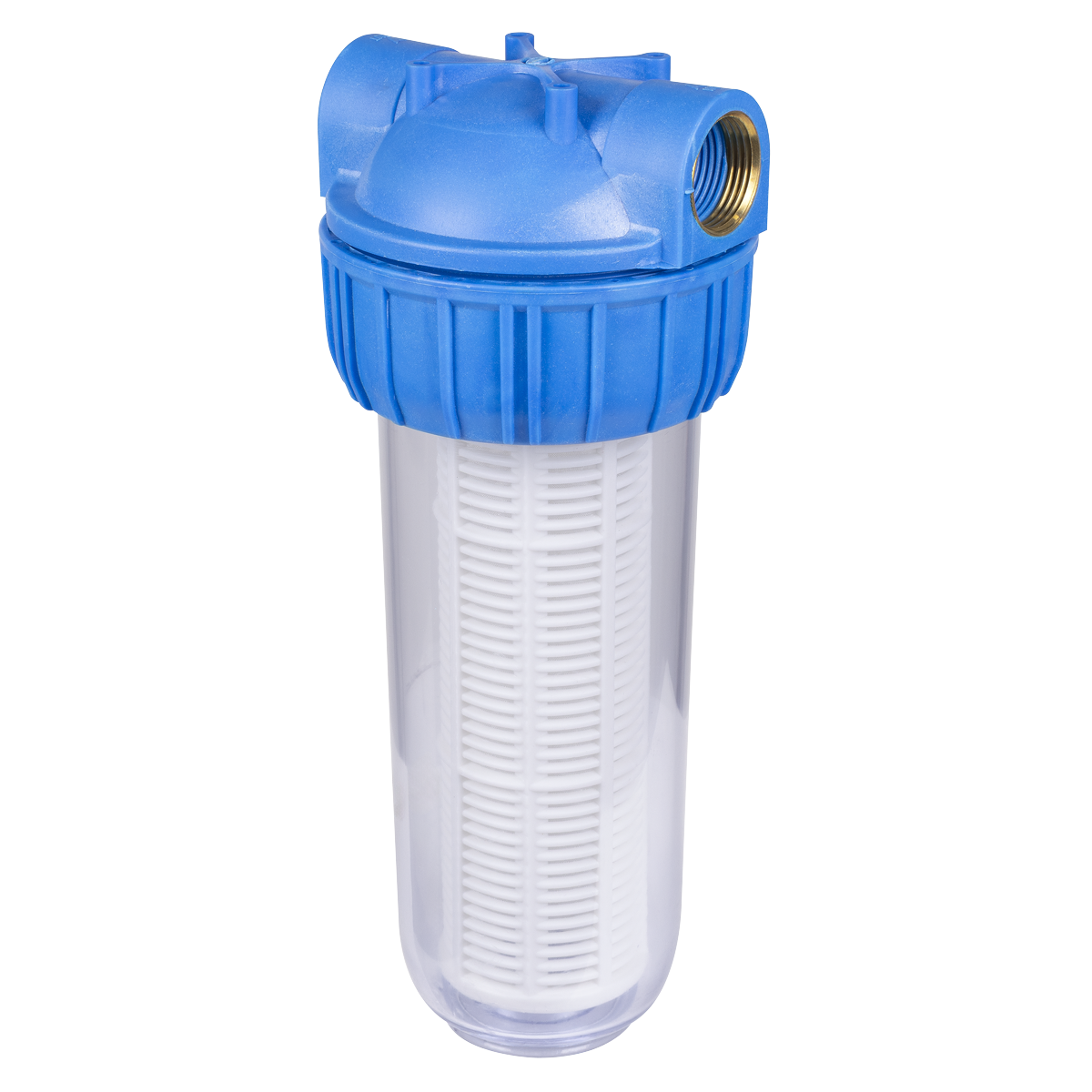 Inlet Filter for Surface Mounting Pumps 2L WPF2