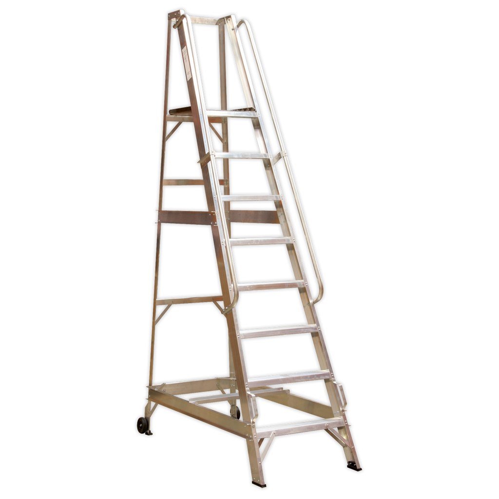 Warehouse Steps 10-Tread WS10