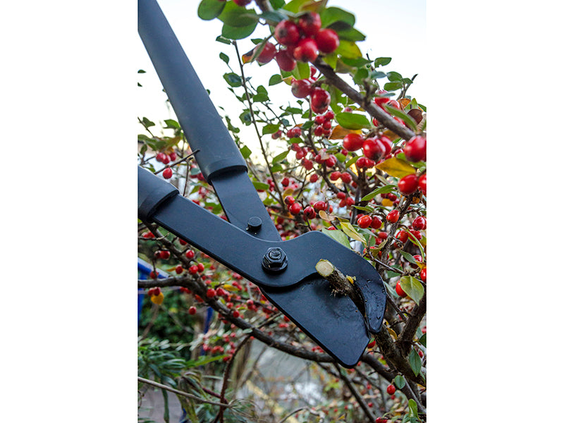 SingleStep™ Bypass Lopper Hook Head 816mm