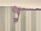 209 Premium Low Tack WASHI-TEC® Masking Tape 30mm x 50m                         