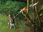 PS7525 Corded Pole Saw 25cm Bar 800W 240V                                       