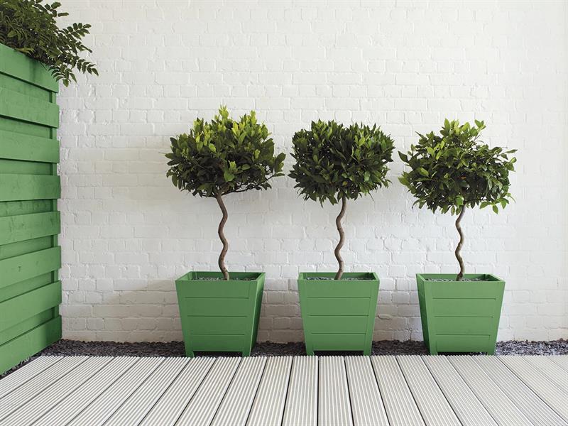 Garden Paint Clover 250ml