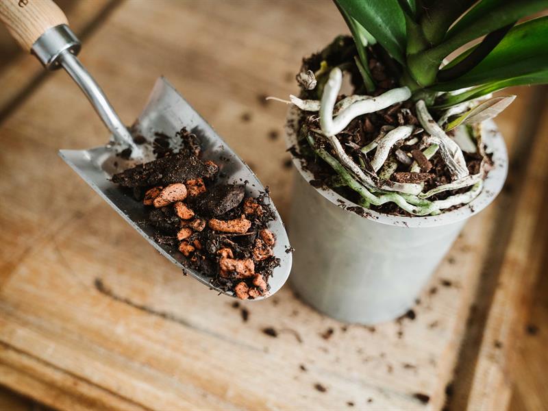 Orchid Potting Mix 4 litre