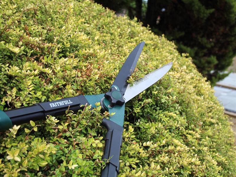 Countryman Hedge Shear 250mm (10in)                                             