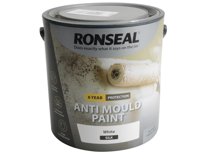 6 Year Anti Mould Aerosol White Matt 400ml