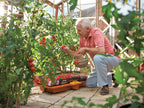 2810 Growbag Waterer                                                            