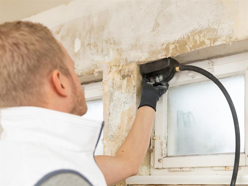 SteamForce Speed Pro