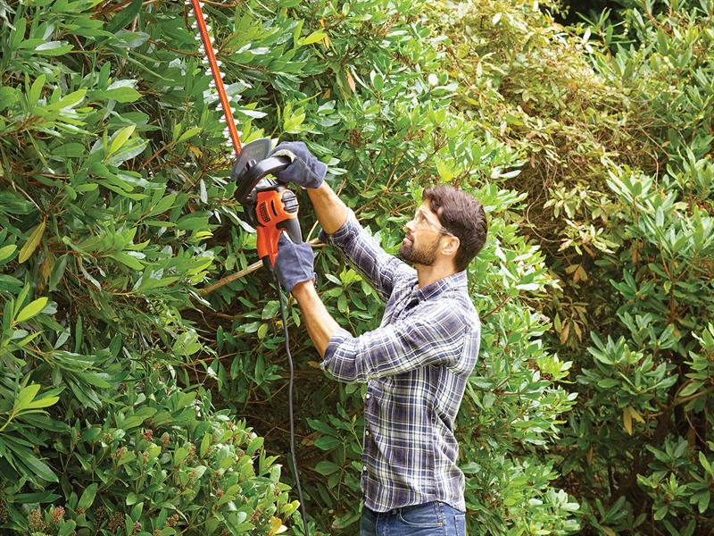 BEHTS501 Hedge Trimmer 60cm 600W 240V                                           