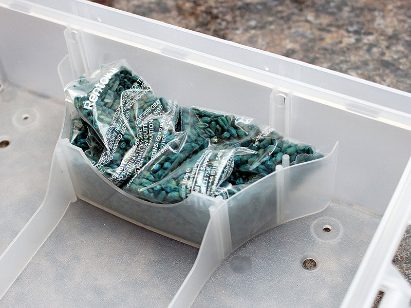 Rodine Rat & Mouse Killer Grain Bait (Sachets 4)