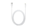 iPhone Lead White 1m 7093