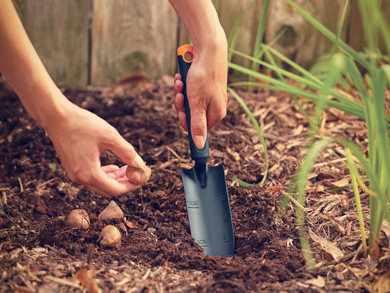 Ergo Transplanter                                                               