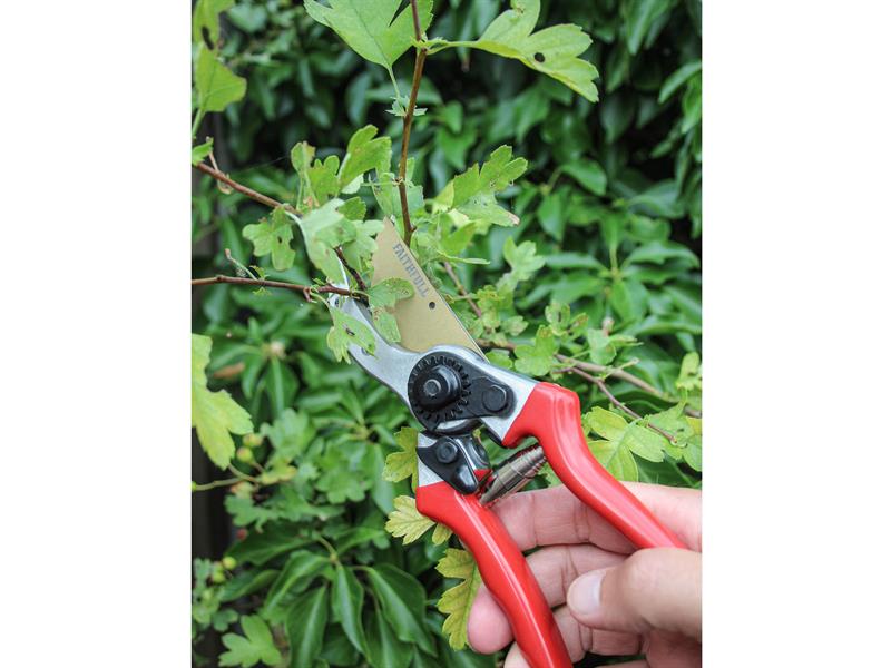 Countryman Professional Bypass Secateurs 215mm (8in)                            