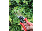 Countryman Professional Bypass Secateurs 215mm (8in)                            