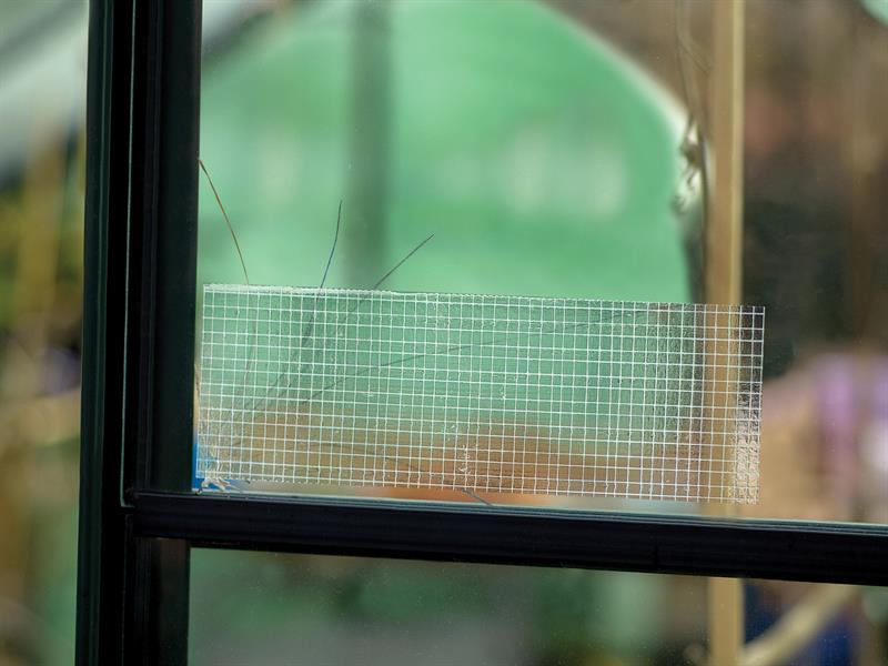 Duck Tape® Ultimate 50mm x 20m Clear