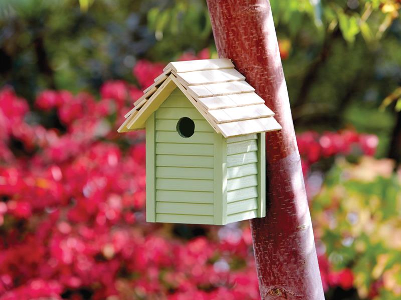 Garden Paint Sapling Green 750ml