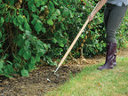 Stainless Steel Oscillating Hoe, FSC®                                           