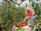2810 Growbag Waterer                                                            